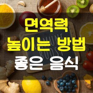 면역력에-좋은-음식