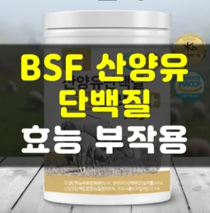 Read more about the article BSF 산양유단백질 효능 부작용 가격 정리