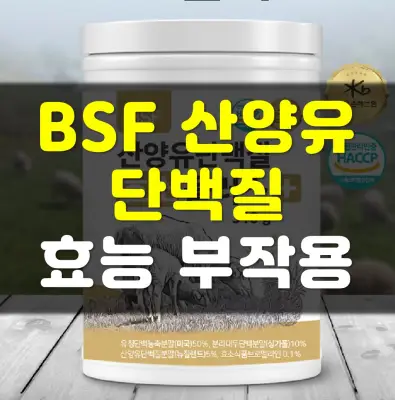 BSF-산양유단백질-효능