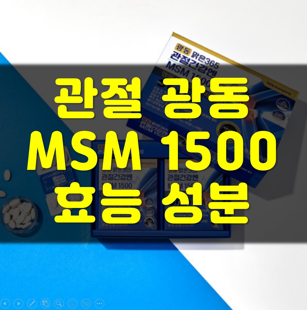 관절-광동-MSM1500-효능