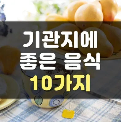 Read more about the article 기관지에 좋은 음식 10가지