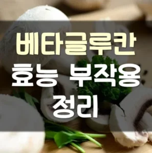 Read more about the article 베타글루칸 효능 부작용 음식 3가지