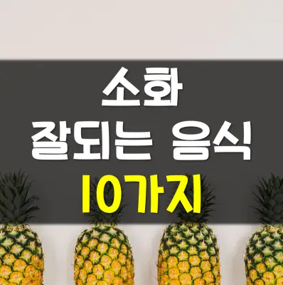 Read more about the article 소화 잘되는 음식 10가지 정리