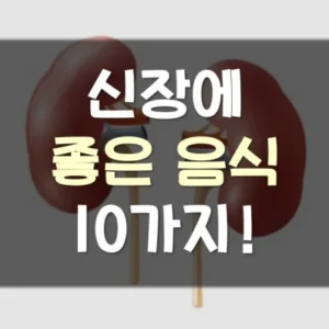 Read more about the article 신장에 좋은 음식 10가지와 나쁜 음식 정리