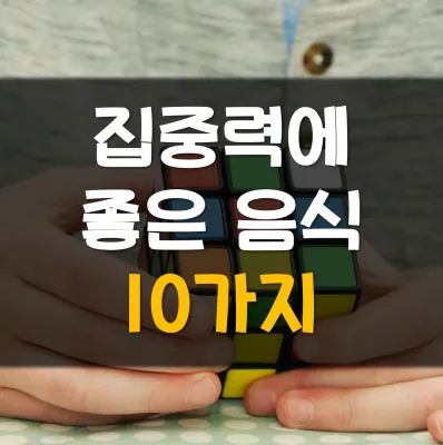 Read more about the article 집중력 높이는 음식 10가지 생활습관