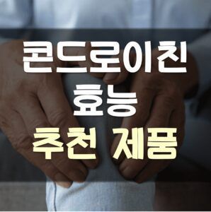 Read more about the article 콘드로이친 효능 추천 정보 알아보기