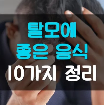 Read more about the article 탈모에 좋은 음식 10가지 정리