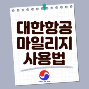 Read more about the article 대한항공 마일리지 공제표 사용법 사용처 정리