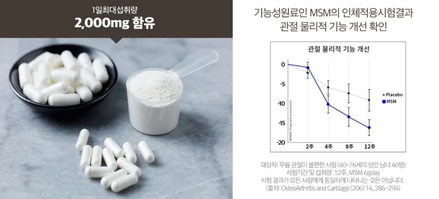 천관보-주원료-MSM