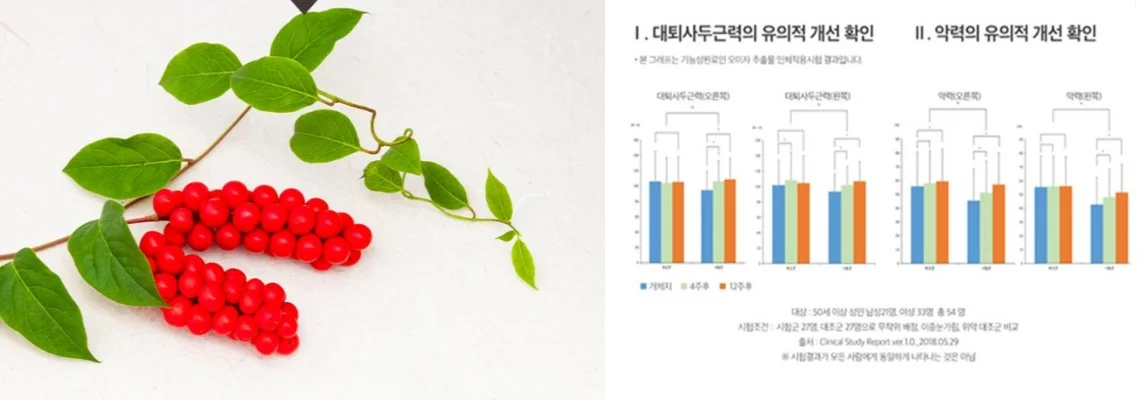 천관보-주원료-오미자-추출물