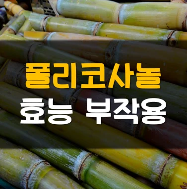 Read more about the article 폴리코사놀 효능 부작용 가격 3가지