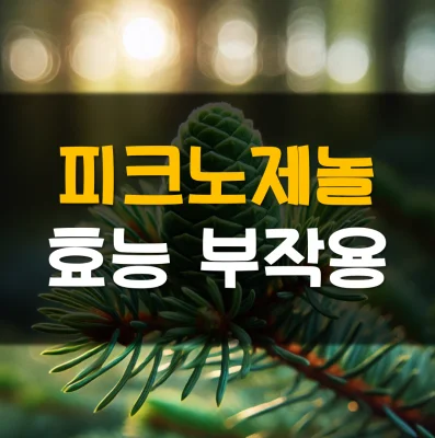 피크노제놀-효능-부작용