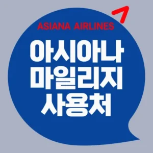 Read more about the article 아시아나 마일리지 사용처 공제표 정리