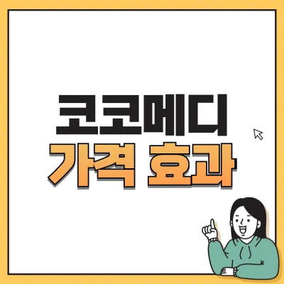 코코메디-가격