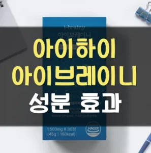 Read more about the article 아이하이 아이브레이니 효과 후기