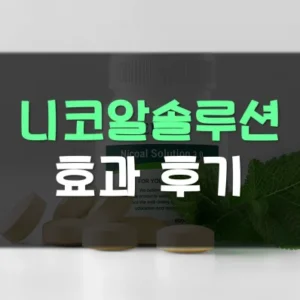 Read more about the article 니코알솔루션 효과 부작용 후기