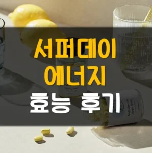 Read more about the article 서퍼데이 에너지 효능 가격 후기