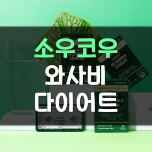 Read more about the article 일본 소우코우 와사비 다이어트 후기 부작용 효과