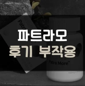 Read more about the article 파트라모 내돈내산 후기 부작용