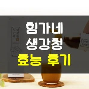 Read more about the article 힘가네 생강청 효능 내돈내산 후기