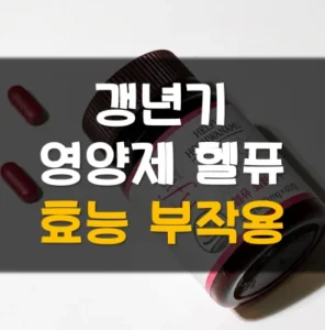 Read more about the article 갱년기 영양제 헬퓨 효능 부작용 추천