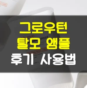 Read more about the article 릴리이브 그로우턴 앰플 내돈내산 후기 사용법