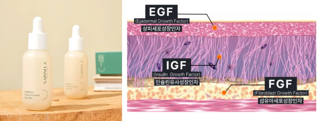 나린플라-리프팅-부스터-앰플