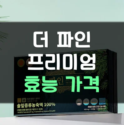 더파인프리미엄-가격