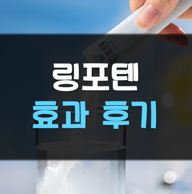 링포텐-후기