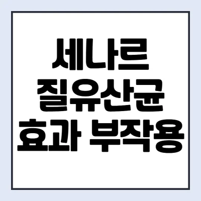 세나르-질유산균-효능