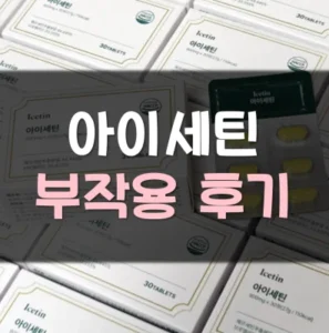 Read more about the article 아이세틴 후기 효능 부작용