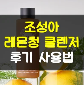 Read more about the article 조성아 레몬청 클렌저 후기 사용법