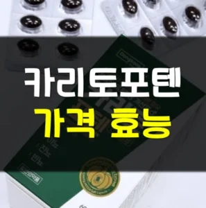 Read more about the article 카리토포텐 가격 효능 부작용 정리