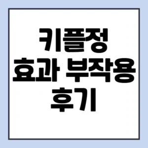 Read more about the article 키플정 부작용 후기 효과 알아보기