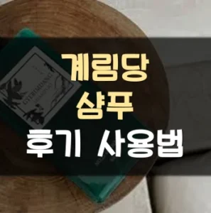 Read more about the article 계림당샴푸 후기 사용법 정리