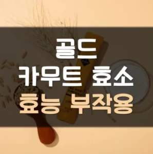 Read more about the article 골드 카무트효소 효능 부작용 먹는법