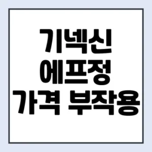 Read more about the article 기넥신에프정 80mg 가격 부작용 효능