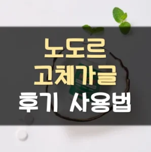 Read more about the article 노도르 고체가글 후기 사용법
