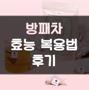 Read more about the article 닥터이브 방패차 효능 복용법 후기