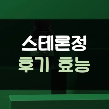스테론정-후기