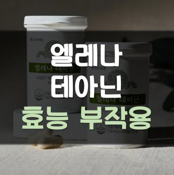 Read more about the article 엘레나 테아닌 효능 부작용 후기
