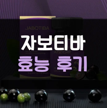 자보티바-후기