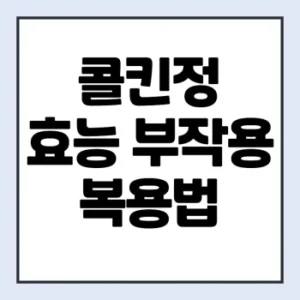 Read more about the article 콜킨정 부작용 효능 복용법