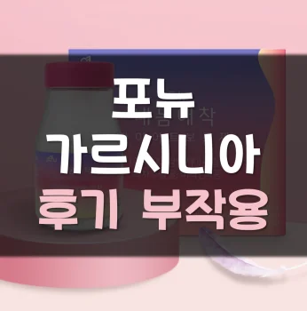 포뉴-가르시니아-후기