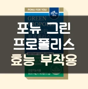 Read more about the article 포뉴 그린 프로폴리스 효능 부작용 가격