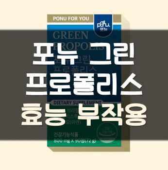 포뉴-그린-프로폴리스-가격