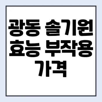 광동-솔기원-가격