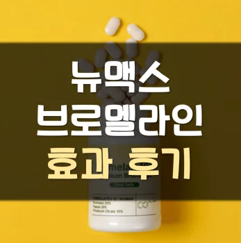 뉴맥스-브로멜라인-후기