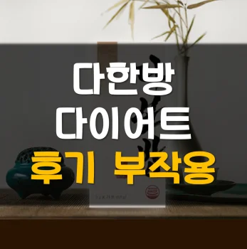 다한방-다이어트-후기