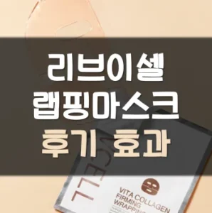 Read more about the article 리브이셀 랩핑마스크 후기 효과